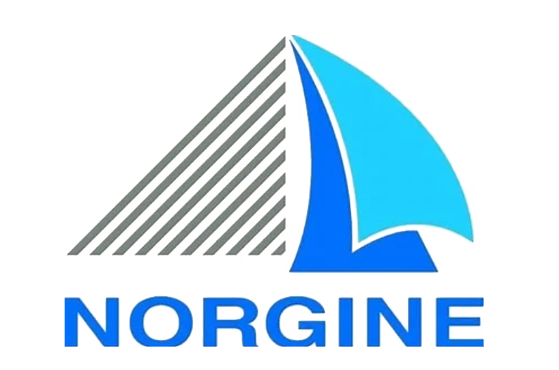 Logo cliente Lumen Invoco - Norgine